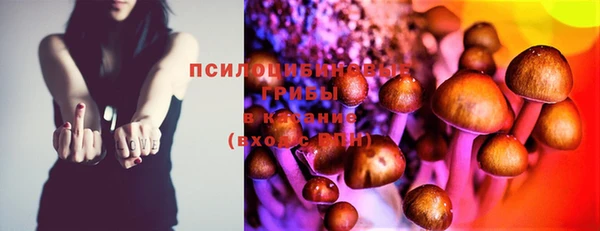 мяу мяу мука Зеленодольск