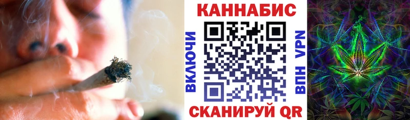 Канабис OG Kush  Сусуман 